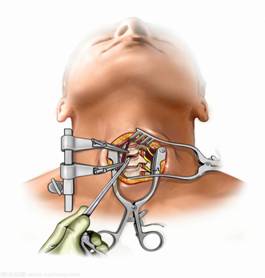 clip_image002.jpg 57466791278028964