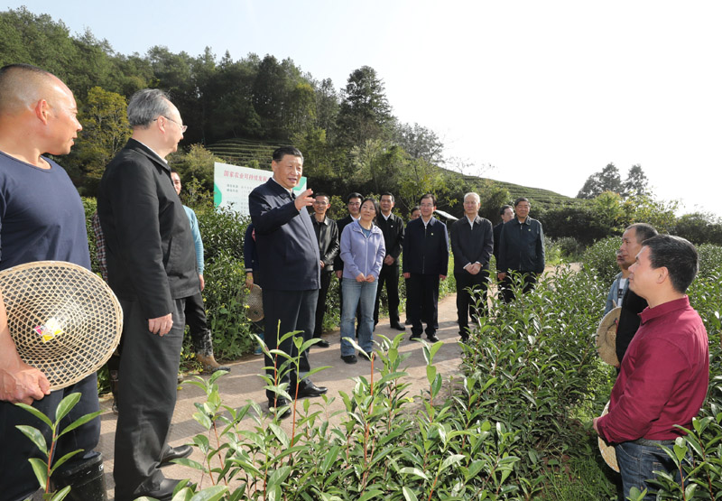 3月22日至25日,中共中央总书记、国家主席、中央军委主席习近平在福建考察。这是22日下午,习近平在南平武夷山市星村镇燕子窠生态茶园,同科技特派员、茶农亲切交流,了解当地茶产业发展情况。新华社记者 鞠鹏 摄